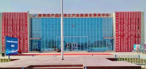 于田縣農產品深加工產業園綜合服務中心揭牌，探索跨區域產業協同新路徑